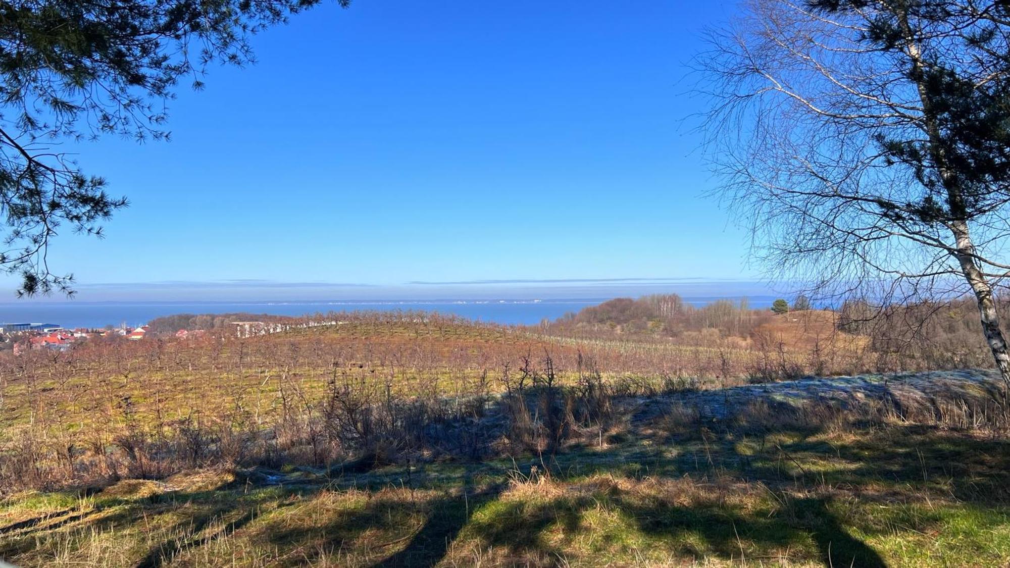 Osada Nad Zalewem Villa Tolkmicko Exteriör bild
